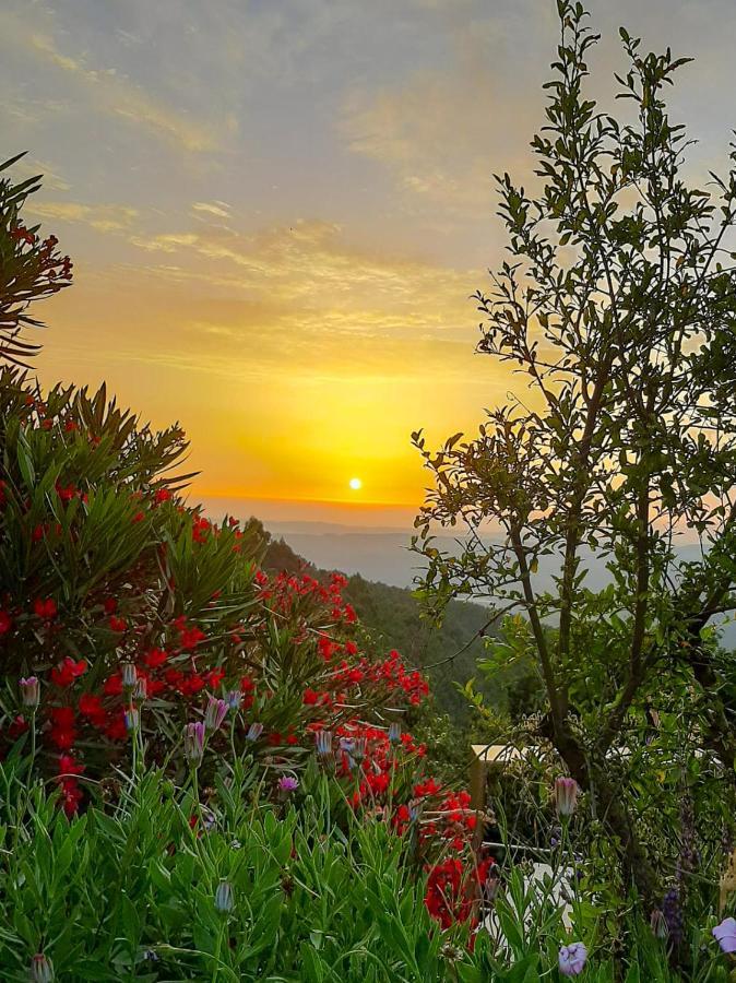 Pera Da Serra - Turismo No Espaco Rural Lousã Dış mekan fotoğraf