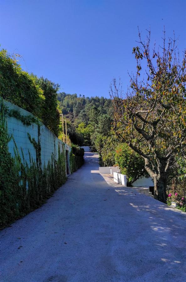 Pera Da Serra - Turismo No Espaco Rural Lousã Dış mekan fotoğraf